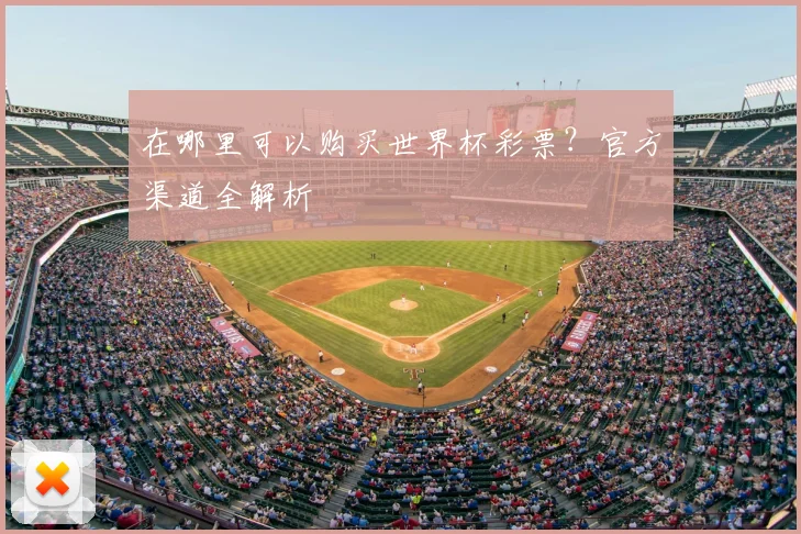 在哪里可以购买世界杯彩票？官方渠道全解析