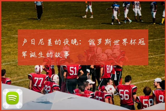 卢日尼基的夜晚：俄罗斯世界杯冠军诞生的故事