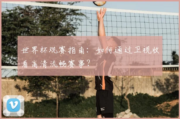 世界杯观赛指南：如何通过卫视收看高清流畅赛事？