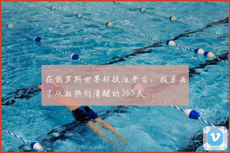 在俄罗斯世界杯投注平台，我亲历了从狂热到清醒的365天
