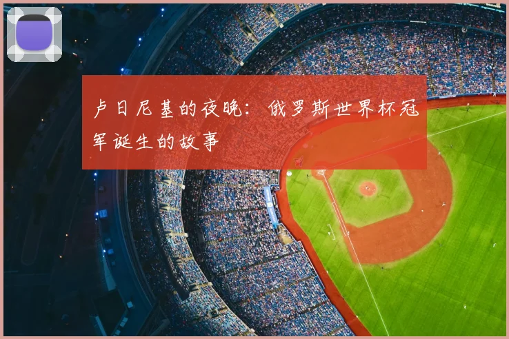 卢日尼基的夜晚：俄罗斯世界杯冠军诞生的故事