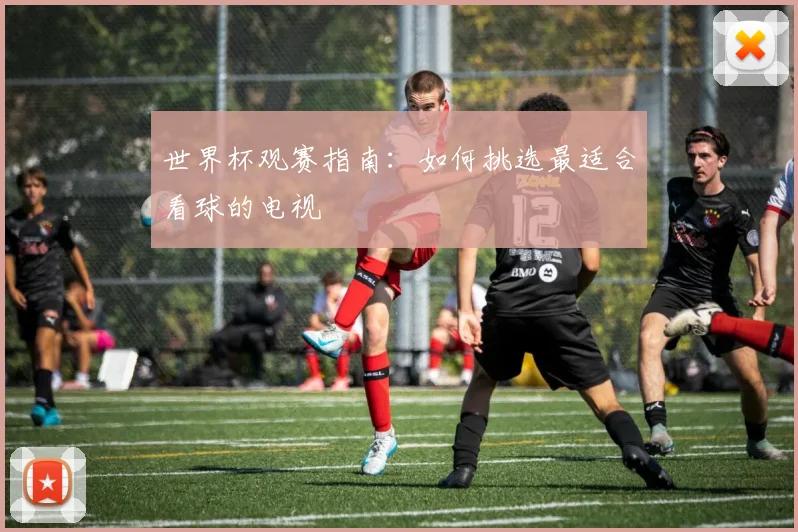世界杯观赛指南：如何挑选最适合看球的电视