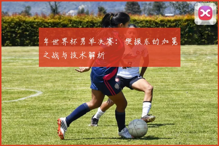 年世界杯男单决赛：樊振东的加冕之战与技术解析